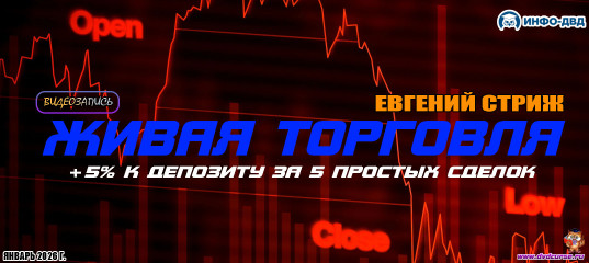 Видеозапись ForexScalper. Живая торговля: +5% к депозиту за 5 простых сделок - Евгений Стриж, Издательство Info-DVD Видеозапись ForexScalper. Живая торговля: +5% к депозиту за 5 простых сделок - Евгений Стриж, Издательство Info-DVD