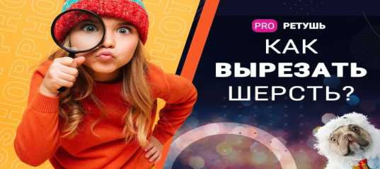 Видеоурок 