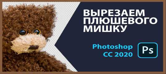 Видеоурок 