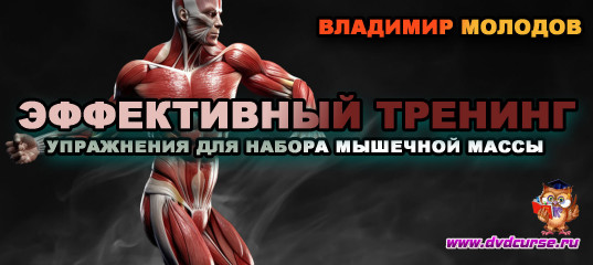 Эффективный тренинг (Владимир Молодов)