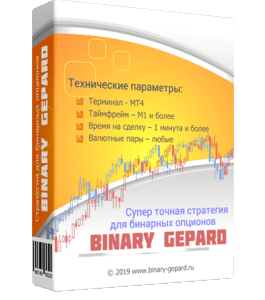 Видеокурс Супер точная торговая стратегия для бинарных опционов Binary Gepard (Александр Новиков)