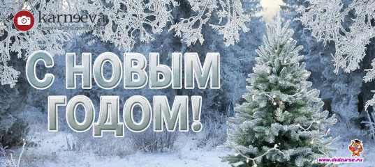 Поздравляем всех с новым 2021 годом (Елена Карнеева, Онлайн школа фотографии)