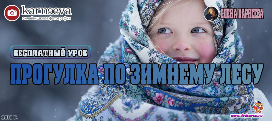 Бесплатный урок Прогулка по зимнему лесу (Елена Карнеева, Онлайн школа фотографии) Бесплатный урок Прогулка по зимнему лесу (Елена Карнеева, Онлайн школа фотографии)
