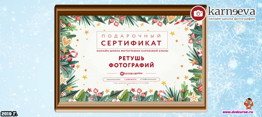 Распродажа Новогодние подарочные сертификаты на все курсы и уроки (Елена Карнеева, Онлайн школа фотографии)