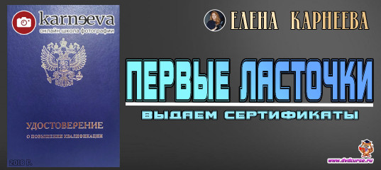 Первые ласточки - выдаем сертификаты - Елена Карнеева