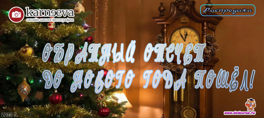 Распродажа Обратный отсчет до Нового 2021 года пошёл (Елена Карнеева, Онлайн школа фотографии) Распродажа Обратный отсчет до Нового 2021 года пошёл (Елена Карнеева, Онлайн школа фотографии)