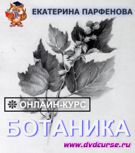 Онлайн - курс Ботаника (Екатерина Парфенова, Школа рисования Арт-Матита)