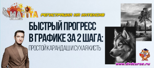 Интенсив "Быстрый прогресс в графике за 2 шага: простой карандаш и сухая кисть" - Егор Матита, Школа рисования Арт-Матита Интенсив
